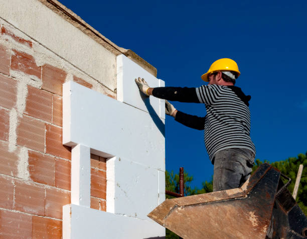 Best Energy Efficiency Insulation in Dimondale, MI