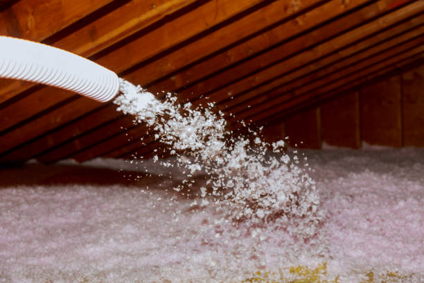Best Eco-Friendly Insulation in Dimondale, MI