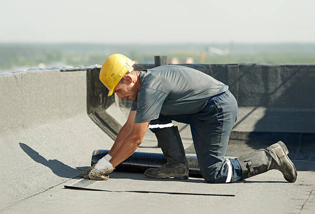 Best Insulation Maintenance and Repair in Dimondale, MI