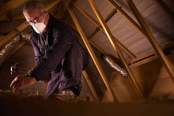 Best Residential Insulation in Dimondale, MI