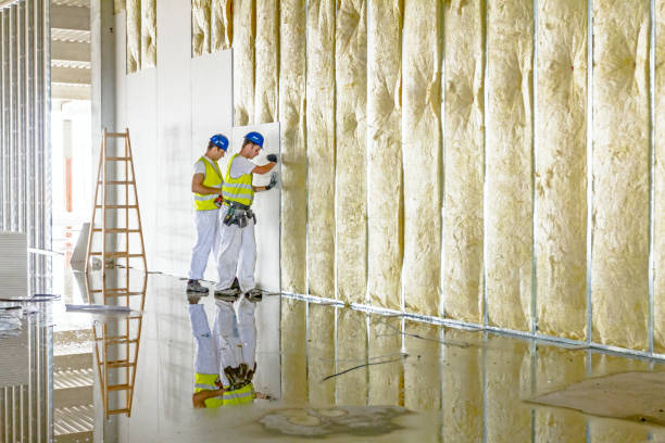 Types of Insulation We Offer in Dimondale, MI